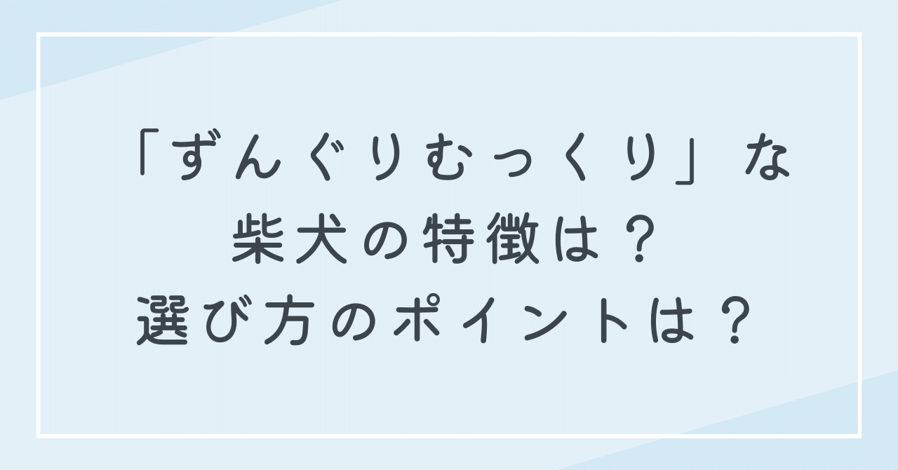 ずんぐりむっくりな柴犬を選ぶには？シュッとしている柴犬との種類の違いは？