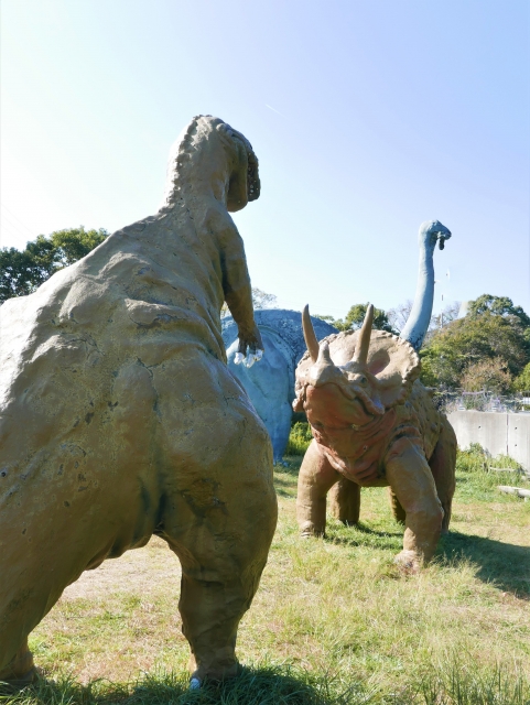 ずんぐりむっくりな恐竜トリケラトプスは群れで行動して身を守っていた！