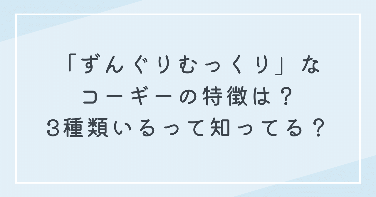 ずんぐりむっくりなコーギーのもふもふの魅力！3種類目がいるって知ってた？