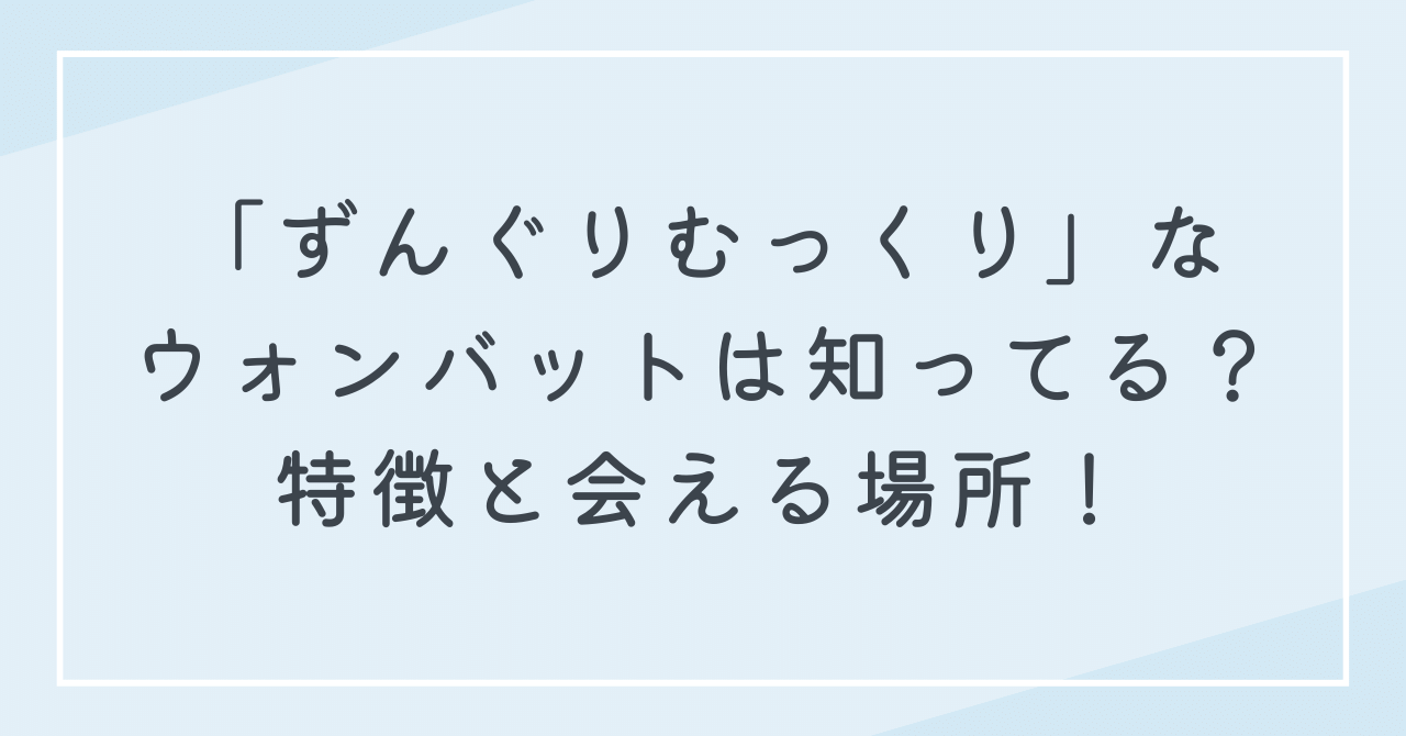 ずんぐりむっくりでかわいい動物ウォンバットって知ってる？日本で見られる場所は？