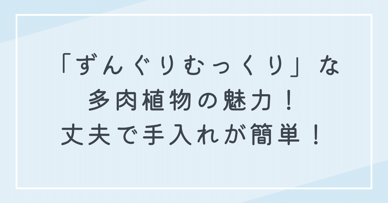 ずんぐりむっくりな多肉植物の魅力！かわいい＆お手入れが楽なインテリアの味方！