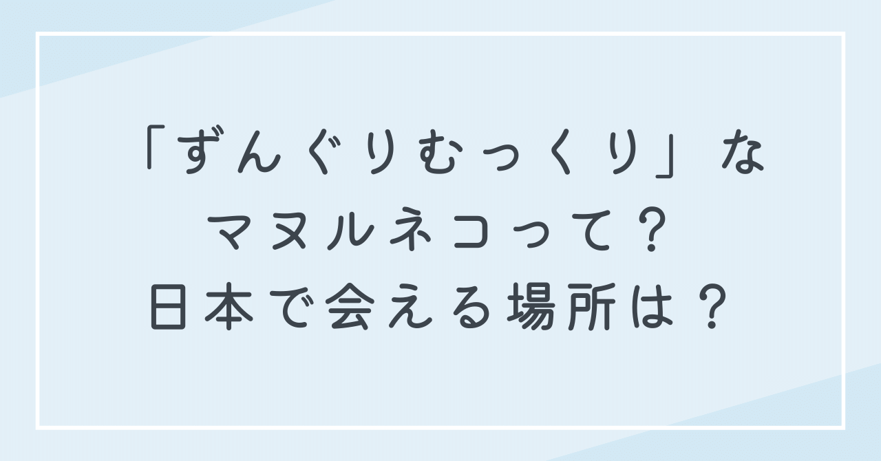 ずんぐりむっくりなマヌルネコってどんな動物？どこで会える？