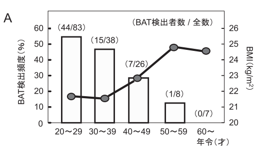 ずんぐりむっくり解消に褐色脂肪細胞の年齢とBMIの関係図